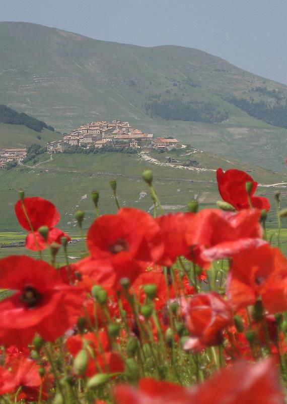 Sibillini - Castelluccio across Piano Grande